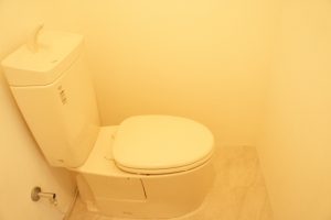 2F洗面WC (1)　イメージ